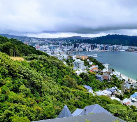 Wellington (Part 1)