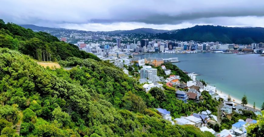 Wellington (Part 1)