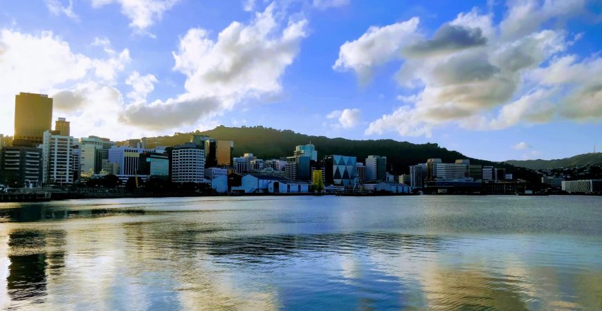 Wellington (Part 2)