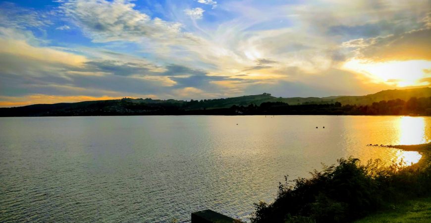 Campervan – Week 3