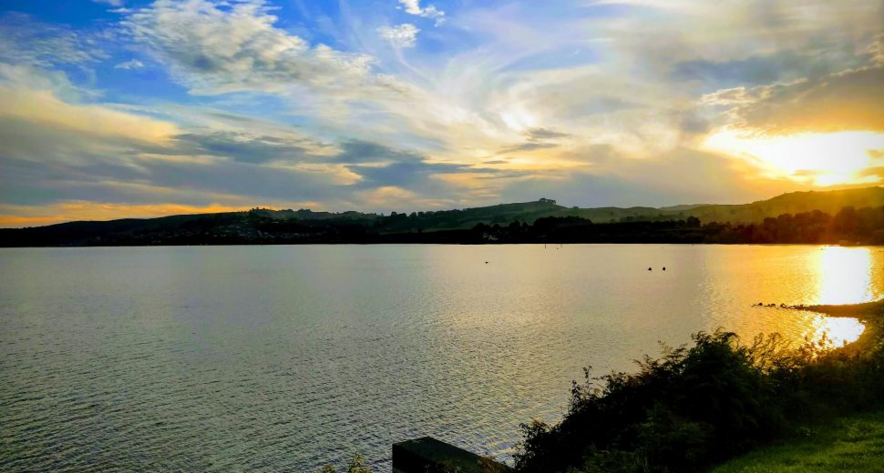 Campervan – Week 3